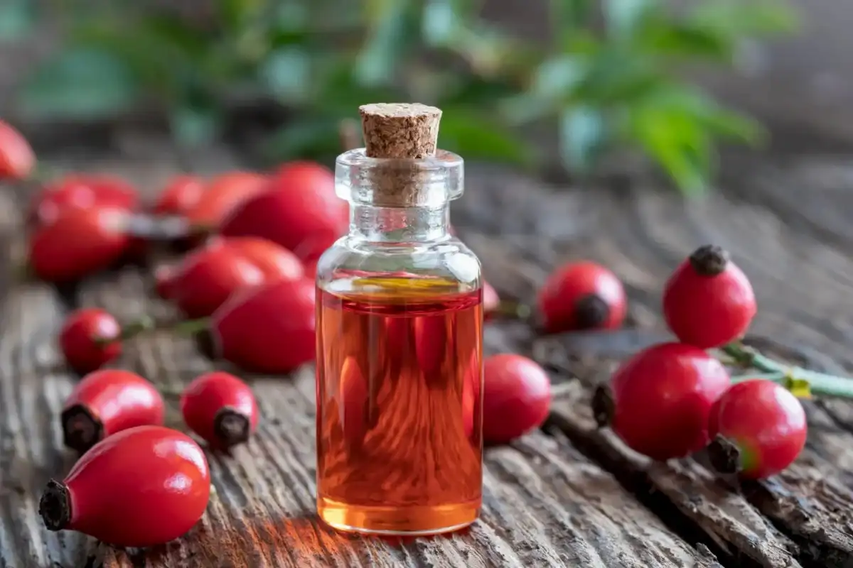 Kuşburnu Yağı Ne İşe Yarar? Cilt Onarımı ve Gençleştirme Etkileri